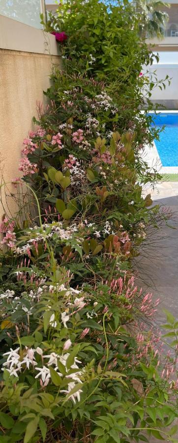 Villa Azul San Pedro del Pinatar Dış mekan fotoğraf