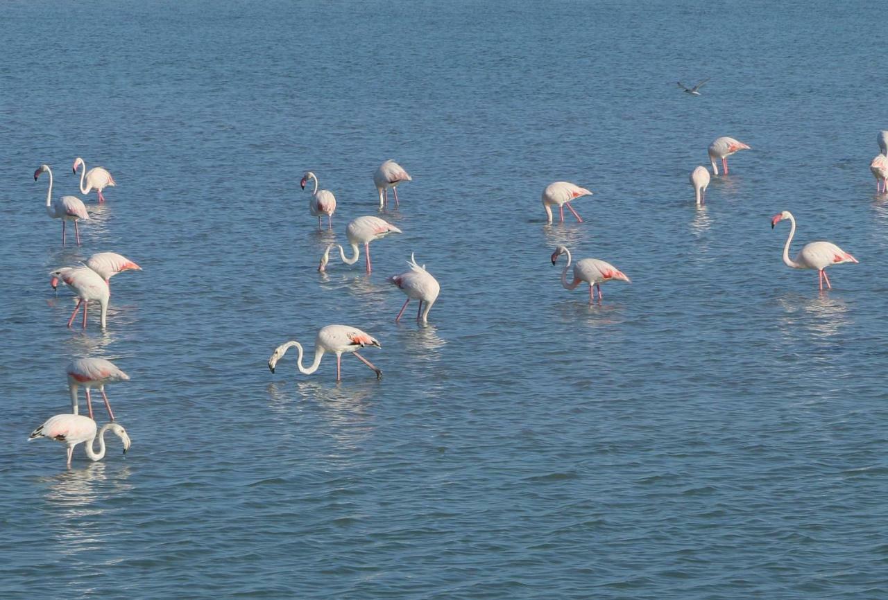 Villa Azul San Pedro del Pinatar Dış mekan fotoğraf